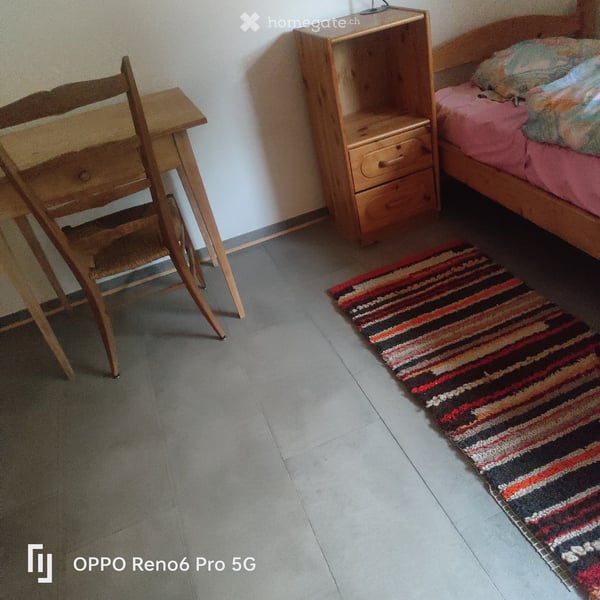 Möblierte 2.5-Zimmer-Wohnung im 1. OG in Eggersriet – sofort verfügbar! 7
