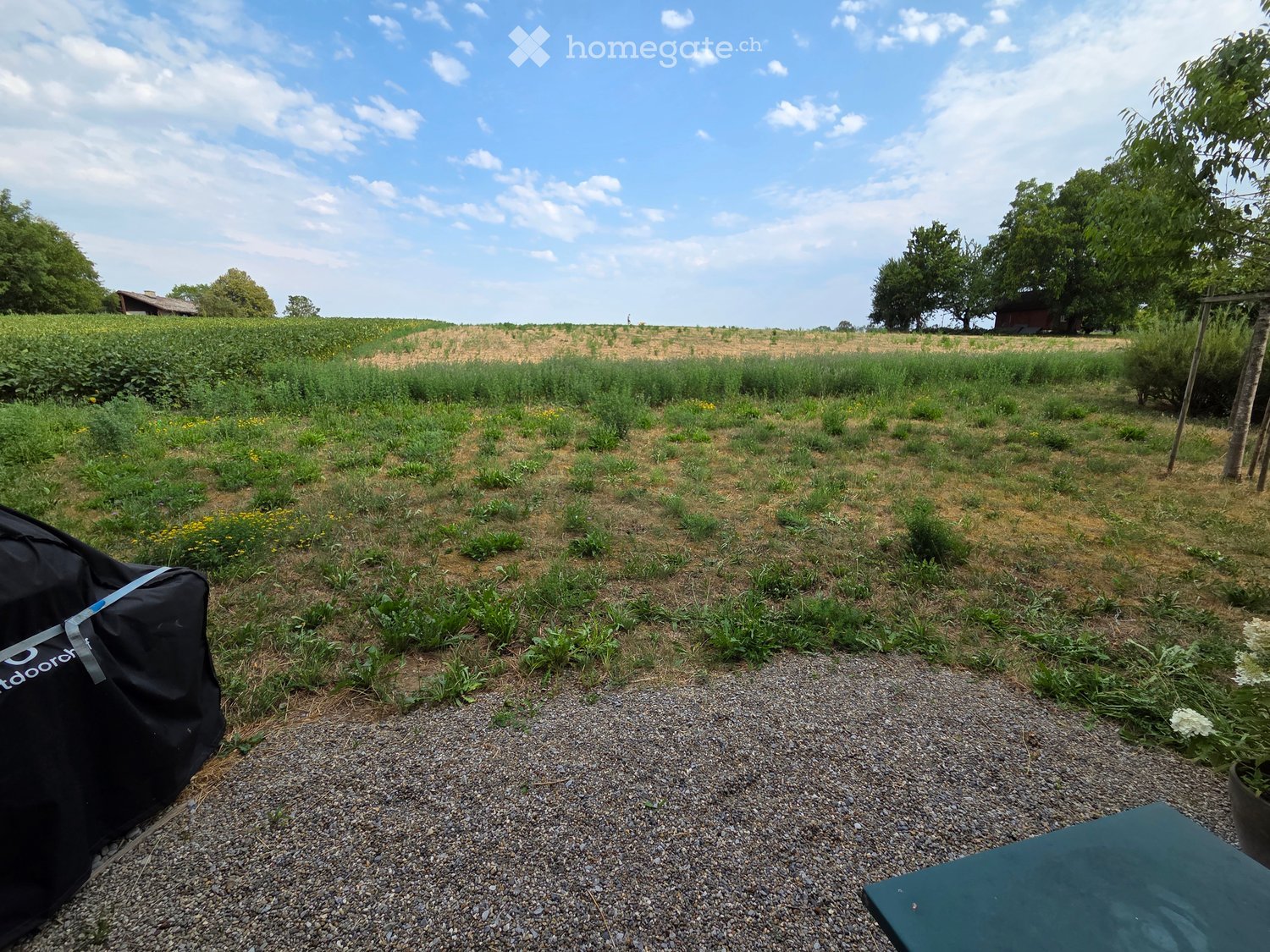 A grassy outdoor area with scattered plants, a covered outdoor furniture piece, and a gravel pathway, surrounded by trees and fields under a partly cloudy sky.
