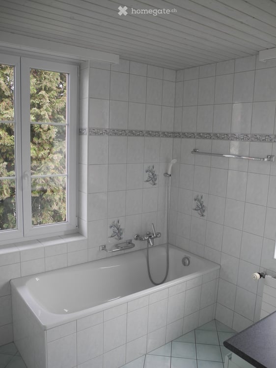 5.5 Zimmer Doppelhaushälfte mit grossem Gartenanteil an zentraler Lage in Frick zu vermieten 5