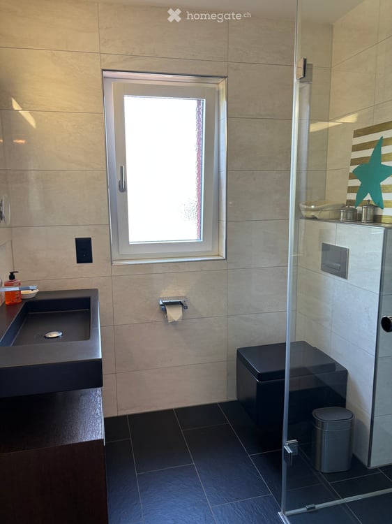 Exklusive 4.5-Zimmer-Gartenwohnung mit 150 m² Aussenbereich und Weitblick in Zürich-Höngg 4