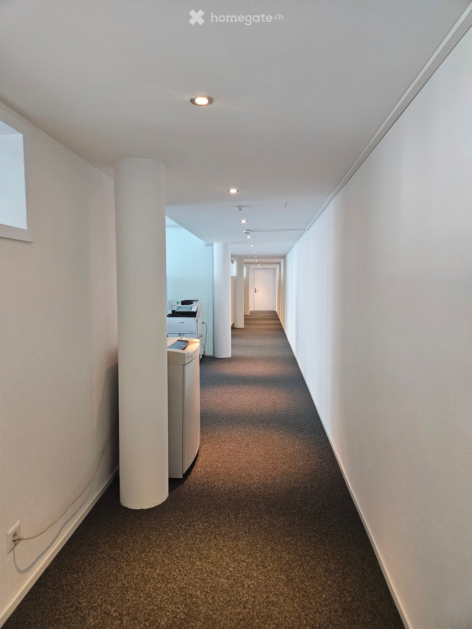 Empty hallway with white walls, carpet, and ceiling lights.