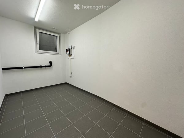 Moderner Hobby- / Lagerraum in Zürich Höngg 2