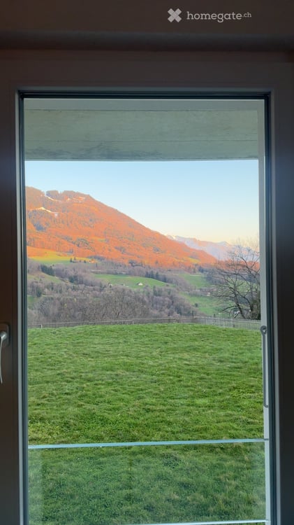 4,5 pièces au rez-de-chaussée (jardin privatif) – Les Monts-de-Corsier 10