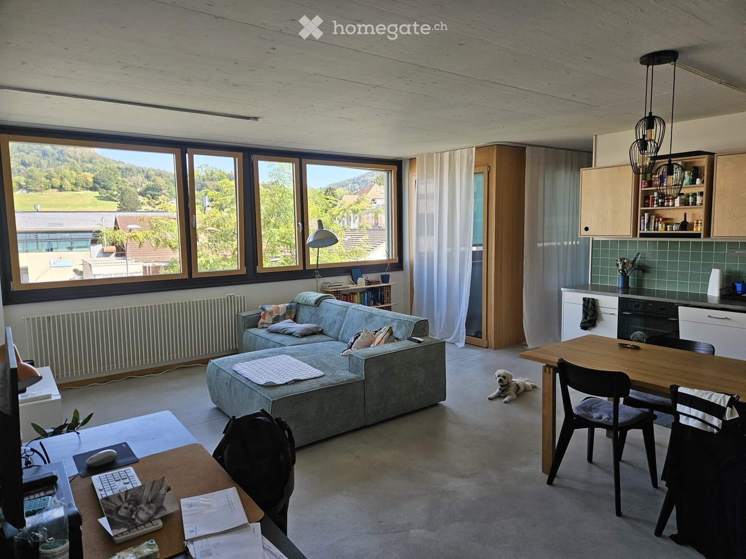 Modern open-plan living and dining area with large windows offering a scenic view, featuring a grey sofa, coffee table, dining table with chairs, kitchen area with cabinets and appliances, and a small dog resting nearby.