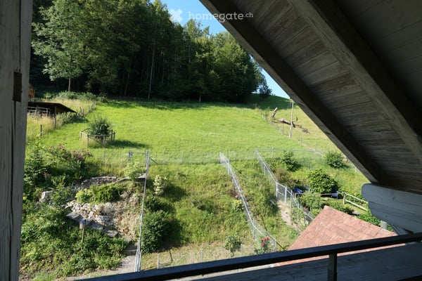 Reiheneinfamilienhaus in Trüllikon 5
