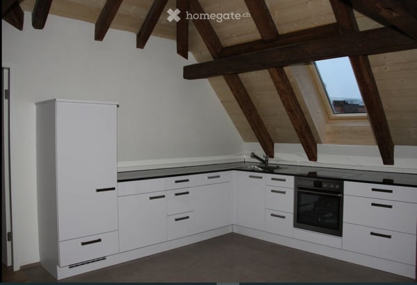 Erstvermietung neuer Altbau Loft mit grosser Terrasse 3