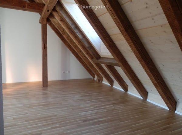 Erstvermietung neuer Altbau Loft mit grosser Terrasse 10