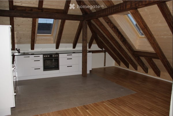 Erstvermietung neuer Altbau Loft mit grosser Terrasse 4