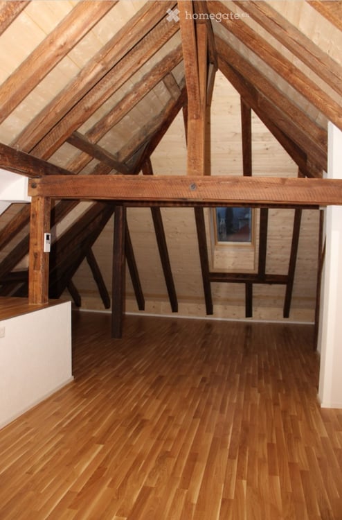 Erstvermietung neuer Altbau Loft mit grosser Terrasse 6