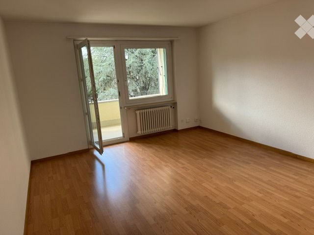 Empty room with wooden flooring, white walls, large window with open sliding doors leading to a balcony, radiator under the window.