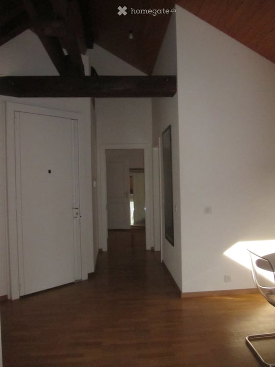 Furnished 85m2 Apartment in the Heart of Geneva - For Rent or Sub-Let 4