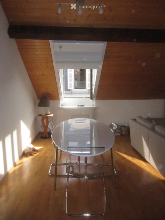 Furnished 85m2 Apartment in the Heart of Geneva - For Rent or Sub-Let 7