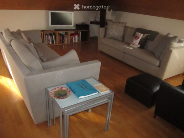 Furnished 85m2 Apartment in the Heart of Geneva - For Rent or Sub-Let 6