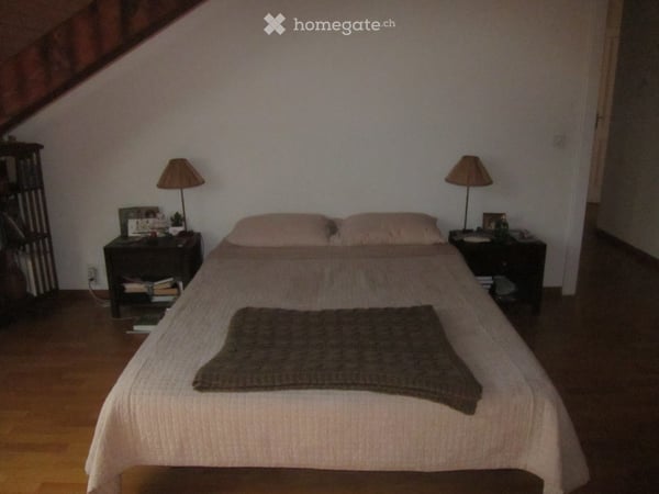 Furnished 85m2 Apartment in the Heart of Geneva - For Rent or Sub-Let 2