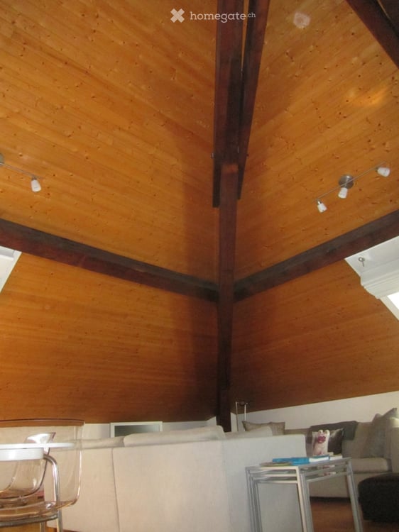 Furnished 85m2 Apartment in the Heart of Geneva - For Rent or Sub-Let 9