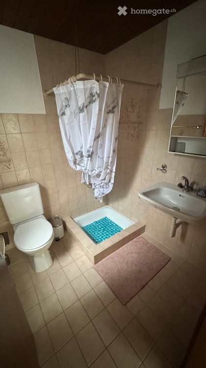 Gemütliche 2.5-Zimmer-Wohnung mit Terrasse 5