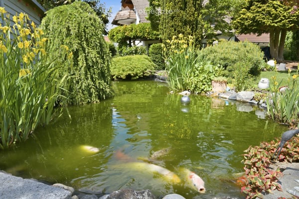 Hochwertige Familienvilla mit Pool und herrlichem Garten in Friedrichshafen 42