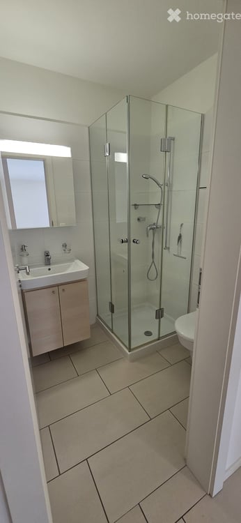 Moderno 4.5 Locali con terrazzo coperto – Disponibile da subito 6