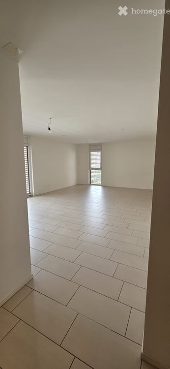 Moderno 4.5 Locali con terrazzo coperto – Disponibile da subito 2