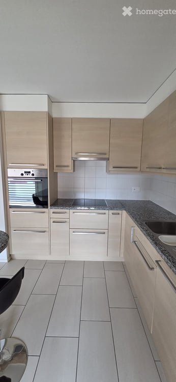 Moderno 4.5 Locali con terrazzo coperto – Disponibile da subito 7