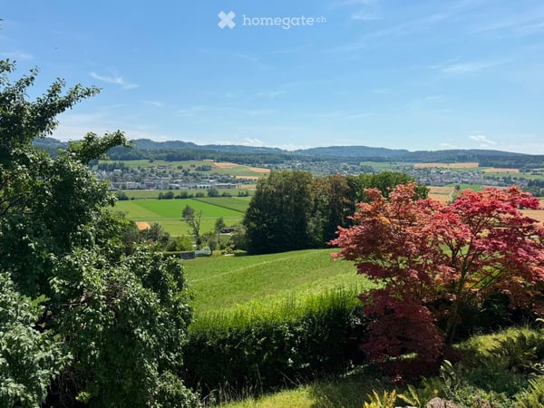 Gemütliche 3.5-Zimmer-Terrassenwohnung in Bonstetten – verfügbar ab November 2026