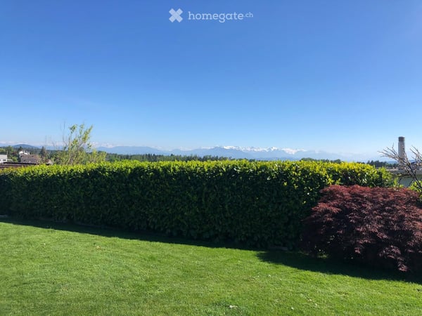Grosszügiges 6.5-Zimmer-Einfamilienhaus in Oberwil-Lieli mit Panorama Bergsicht 9