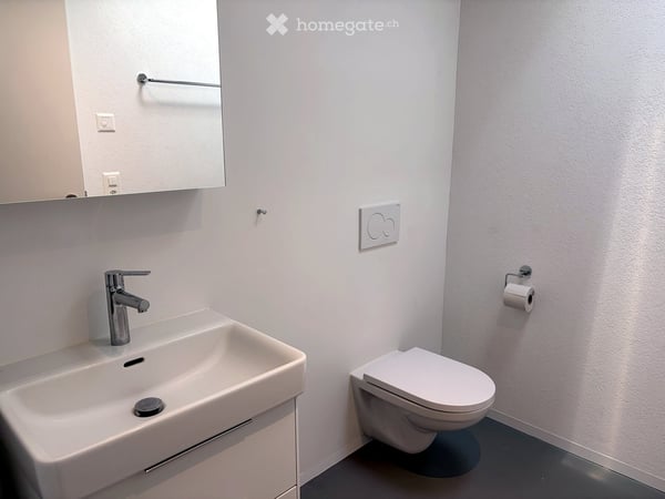 Attikawohnung mit 2.5 Zimmern – Zürich-Altstetten 8