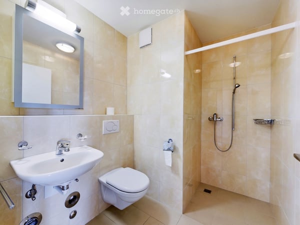 Ruhige Natur-Oase mit zentraler Anbindung: 1.5 Zimmer-Apartment im Kreis 7 von Zürich 4