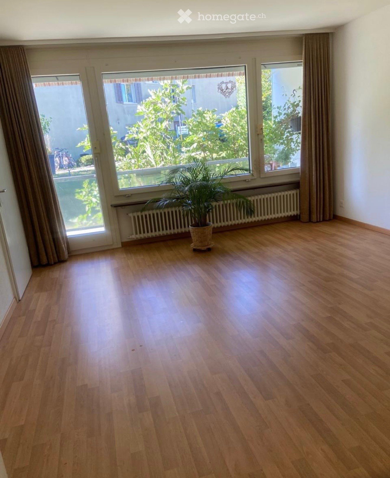 Empty room with wooden flooring, large windows with curtains, and a potted plant near the radiator.