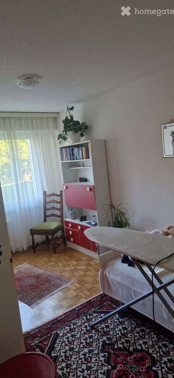 Helle 4.5-Zimmer-Wohnung mit Balkon in Benglen 5