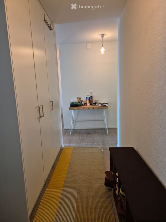 Bright & quiet T1, 17m², Garden-level near Berninaplatz/Tierspital, avail. Oct 16 4