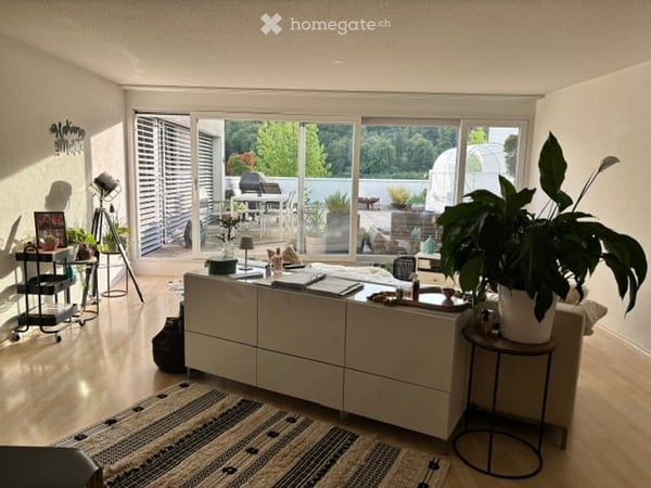 Helle 4.5-Zimmer-Terrassenwohnung im 7. OG mit Aussicht in Winterthur 2
