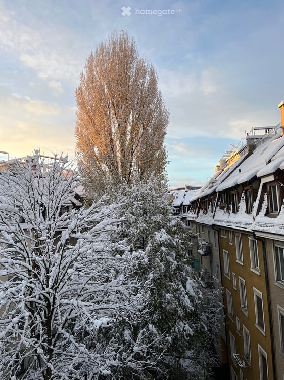 Wohnung in Zürich 24