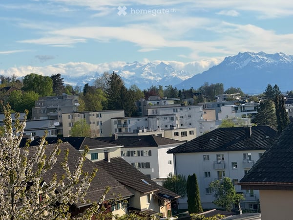 Spacious 2.5-Room Apartment in Affoltern am Albis with a view of the Mountains 8