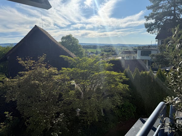 Spacious 2.5-Room Apartment in Affoltern am Albis with a view of the Mountains 7