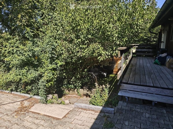 Einzigartiges Bungalow-Haus mit grossem Garten, ruhig und Nähe Bahnhof 5