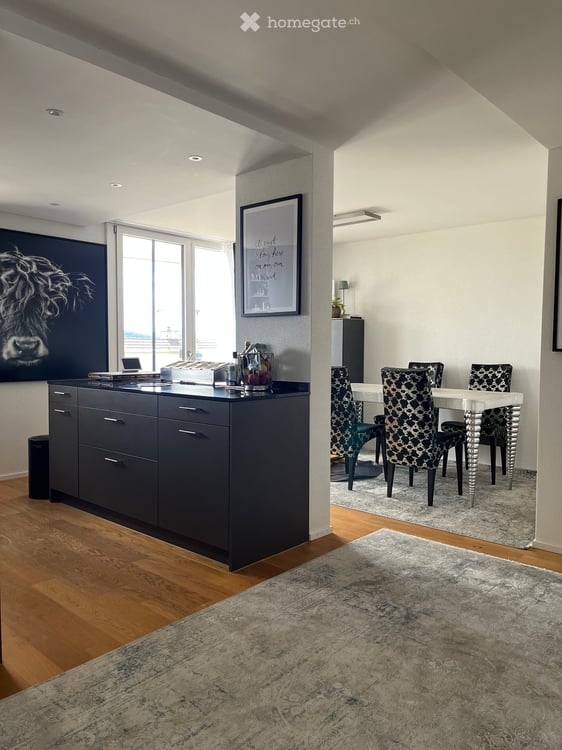 Terrassenwohnung 4,5 mit Ausblick neben Frankenthal Zürich mit 2 Terrassen von 50 und 24 Metern! 3