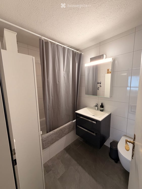 Charmante 2.5-Zimmer-Maisonette mit 30 m² Dachterrasse und Cheminée in Berikon 4