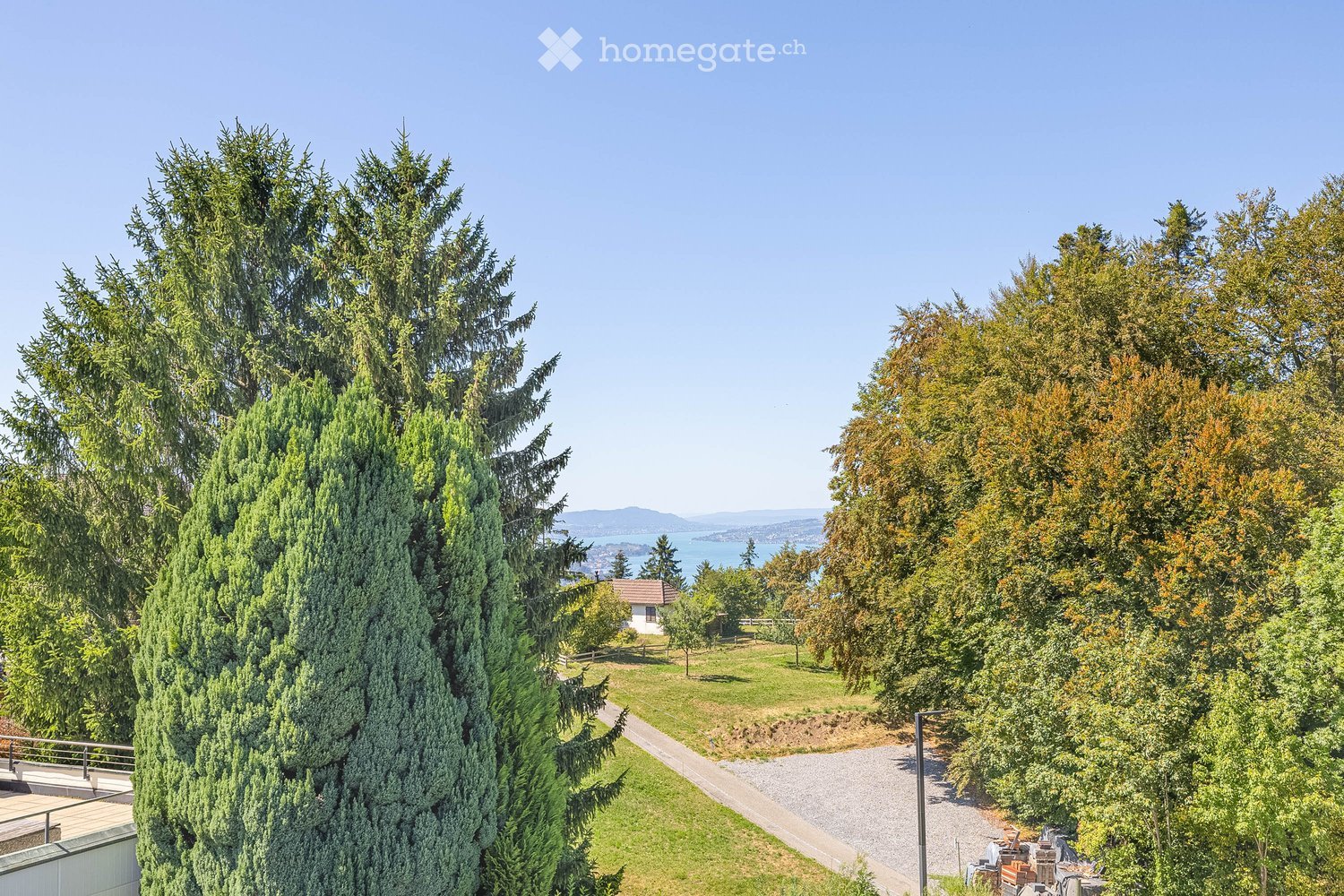 A lush garden area with tall evergreen trees and a clear view of a body of water in the distance, featuring a gravel pathway and a small house in the background.