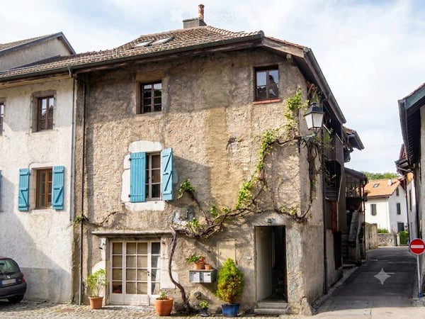 Charmant duplex de 1 pièces, cachet historique au cœurd'Hermance - 50 m du lac 8