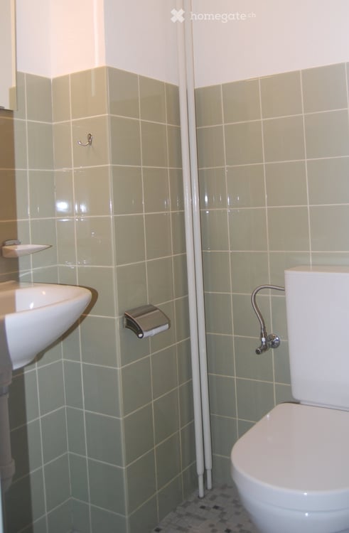 Helle 4.5-Zimmer-Wohnung im Erdgeschoss mit Balkon und Garage in Therwil 10
