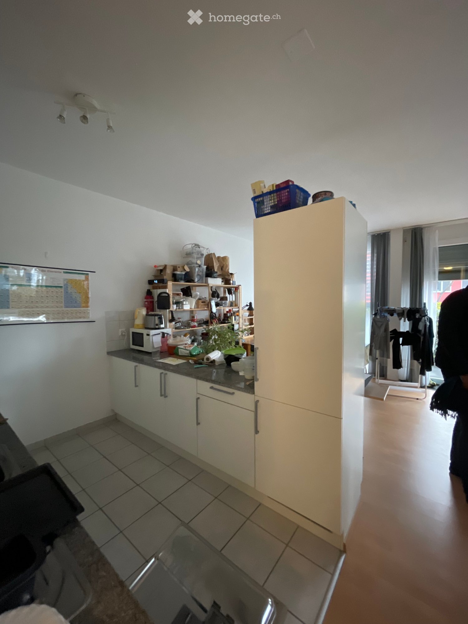 The kitchen features white cabinets, a black countertop, a microwave, a sink, and a tall refrigerator. There is a shelf with various items, including a plant, and a coat rack with jackets in the background.