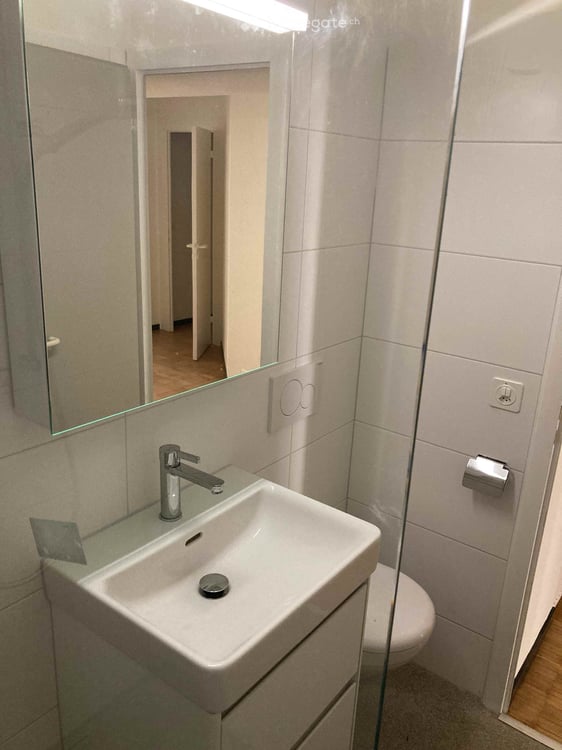 Altbauwohnung in der Basler Innenstadt 15