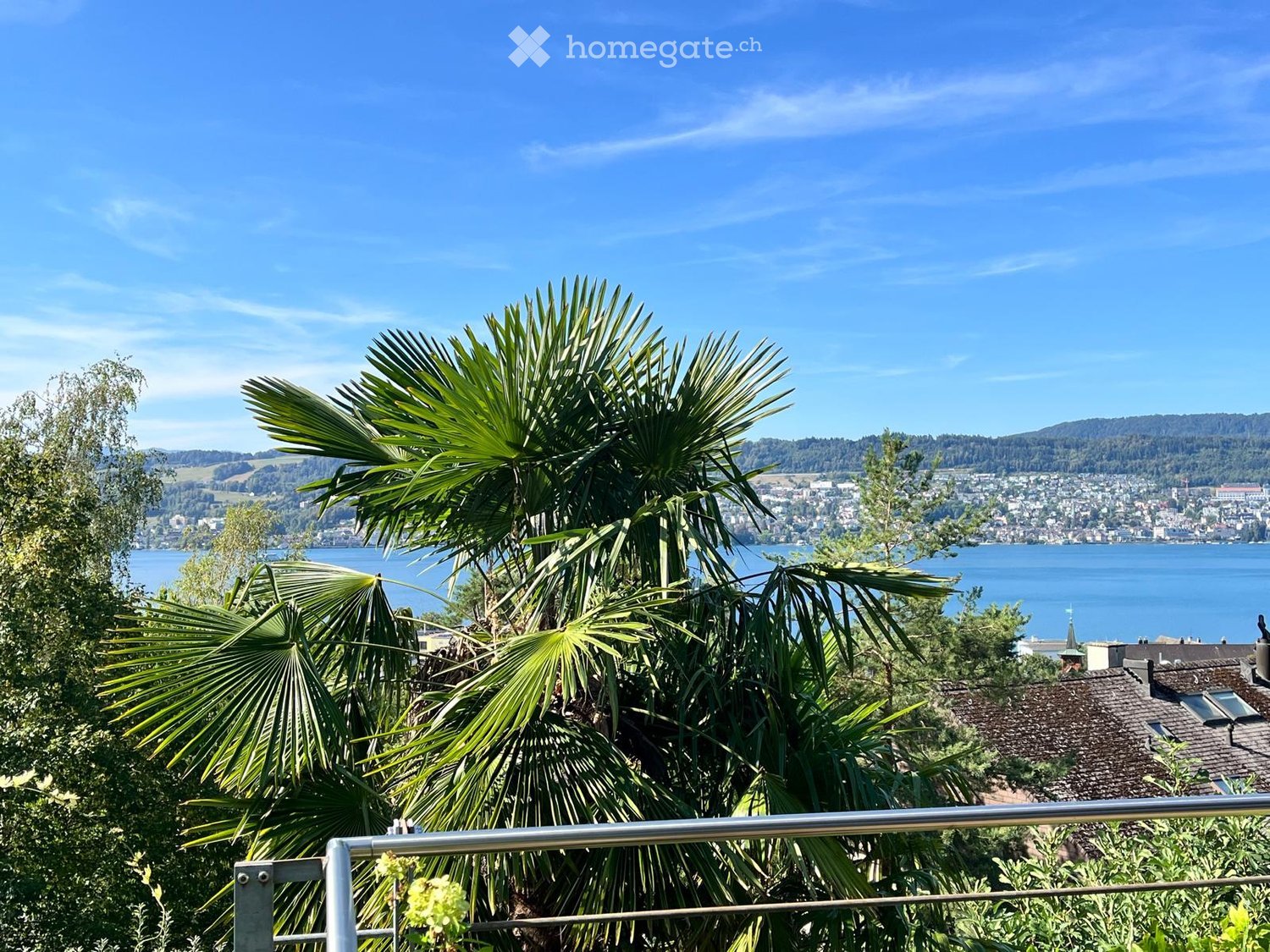 A balcony overlooking a scenic lake and cityscape, with palm trees and a clear blue sky.