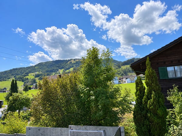 Helle 3½-Zimmer-Dachwohnung mit Balkon und Cheminée in Lachen SZ 9