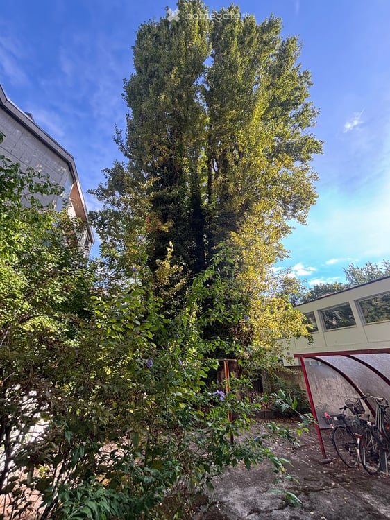 Gemütliche 1.5-Zimmerwohnung an toller Lage mit separater Küche, Balkon und Keller 8