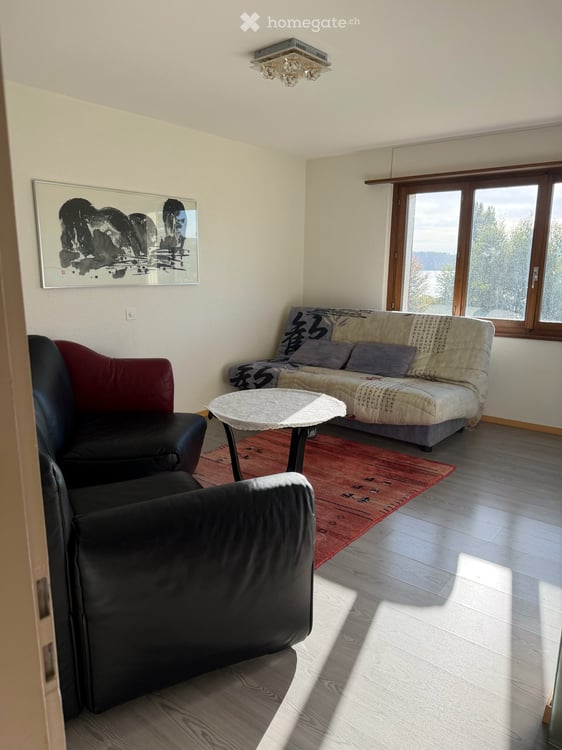 Spacieux appartement de 4 pièces avec terrasse et jardin à La Neuveville 5