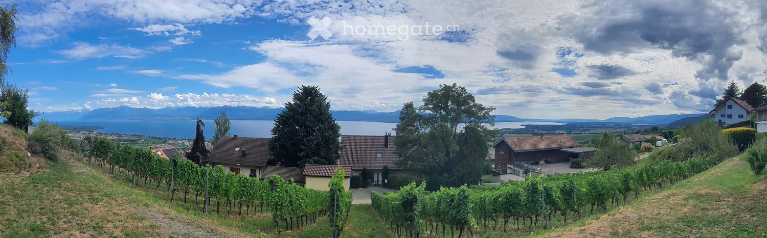 Scenic view of a vineyard area with rows of grapevines, several houses, and a lake in the background under a partly cloudy sky.