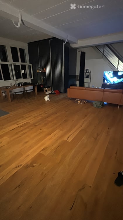 Modernes 1-Zimmer-Loft an der Burgstrasse in St. Gallen