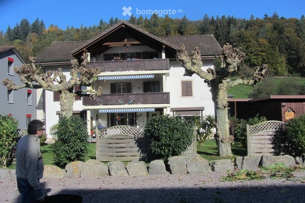 Schöne 3 1/2 Zimmer-Wohnung